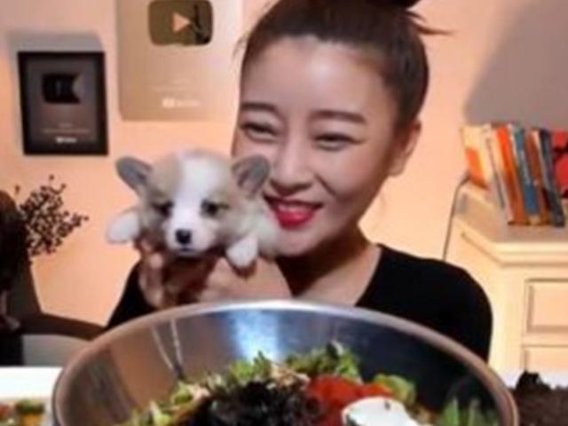 반려동물 공개한 유명인은 왜 ‘악플’을 받았을까?