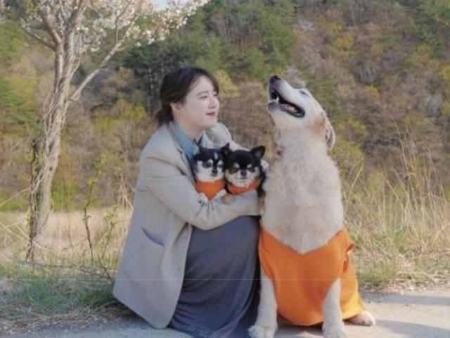 "마지막 인사 드리려 한다" 구혜선, <strong>연예계</strong> <strong>은퇴</strong> 암시