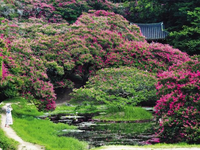 [테마별 농촌 가을여행 - 본지·농림축산식품부·한국농어촌공사 공동기획] 눈호강에 입호강까지…‘구곡순담’ <strong>장수</strong>비결에 매료되다