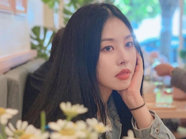서동주, 피아노미술→수학→경영→변호사→방송인..다이내믹한 변천사
