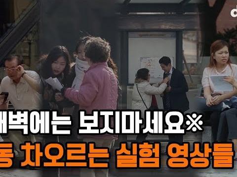 3분 안에 눈물샘을 자극하는 영상 모음