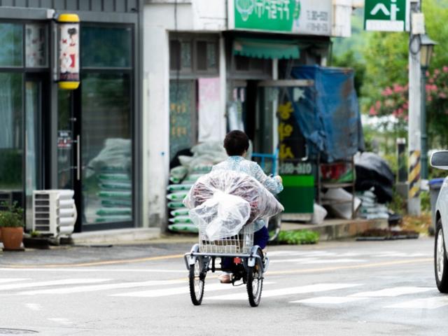 할매, 벌써 마른 고추 팔러 가소? 시골장터에 가장 먼저 찾아온 가을