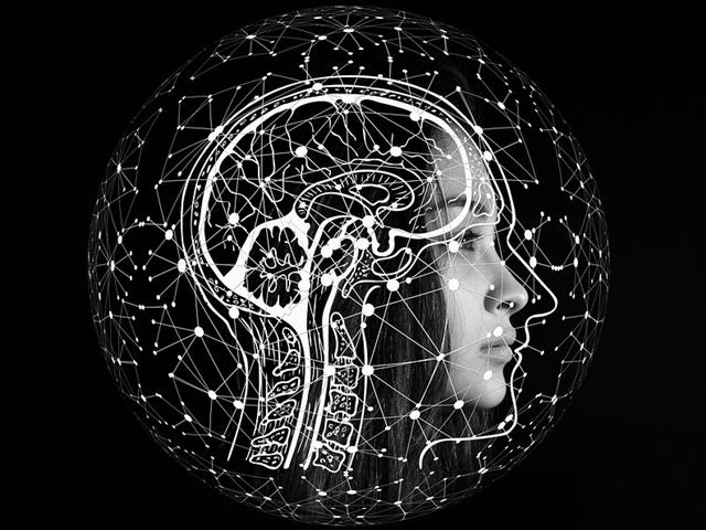 "뇌의 장기 기억 저장, <strong>렘수면</strong>이 결정한다"