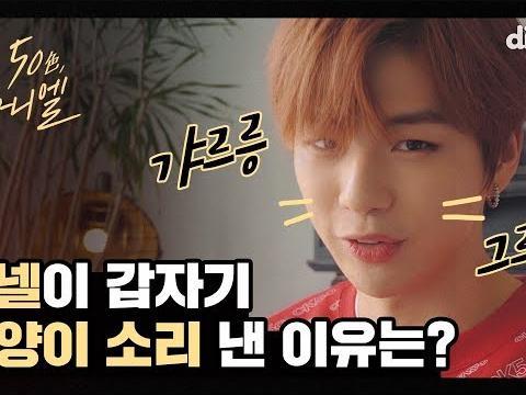 강다니엘이 갑자기 고양이 소리를 낸 이유는!?다녤이 한 번 웃어줄 때마다 딩고 심장 쿵 하고 내려 앉았자나..ㅠㅠ / 50色, 강다니엘