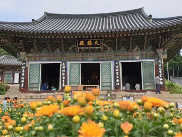 왕건이 피신했던 <strong>천년 고찰</strong>···'동화'같은 속삭임 들리네