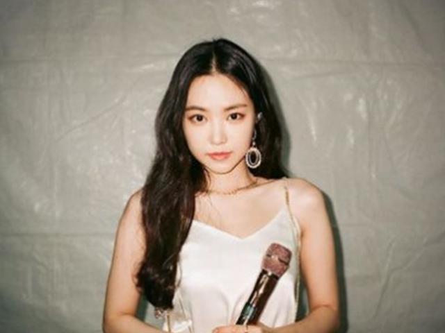 "S 법대 출신 친구들 우르르"…손나은 변호사가 '악플러' 쫓던 중 깜짝 놀란 이유