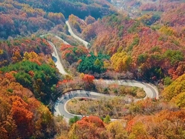 울긋불긋 단풍 물결치는 영동군 도마령