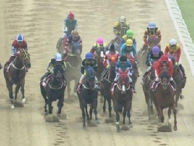 "경마 <strong>승부</strong><strong>조작</strong>, 개업비리...그 속에 7명 죽음의 비밀 있다"