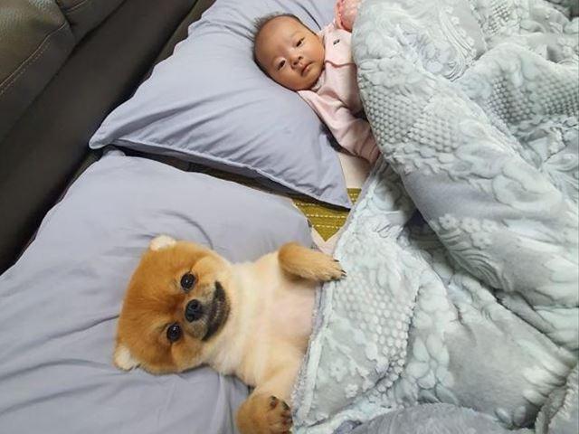 아가 질투하던 <strong>강아지</strong>, 같이 눕혀주자 <strong>미소</strong> 활짝.."나도 예뻐해 주개!"
