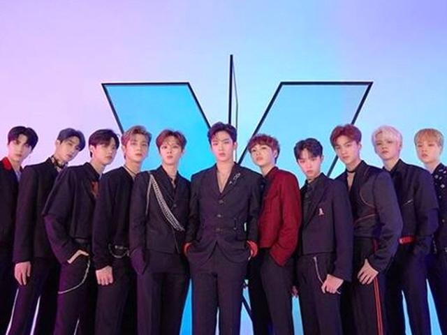 조유명, 스윙엔터 대표 취임…"새 방향 추후 공개"