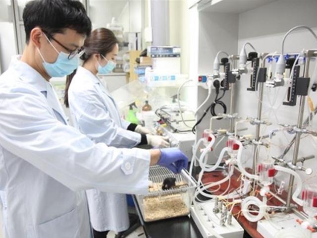 흑사병 옮기던 ‘해롭쥐’… 이젠 인류 생명 구하는 ‘이롭쥐’