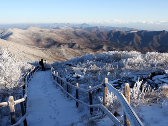 새파란 하늘 아래 새하얀 눈꽃…함백산 해맞이 산행