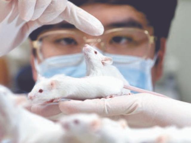 [<strong>과학</strong>&미래] 25g 작은 몸집이지만…죽어서 400개 데이터를 남겨요