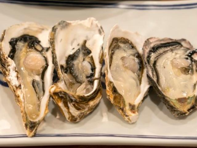 싱싱 탱탱 겨울 굴, 안주 30개 다찌 술상…침이 고인다