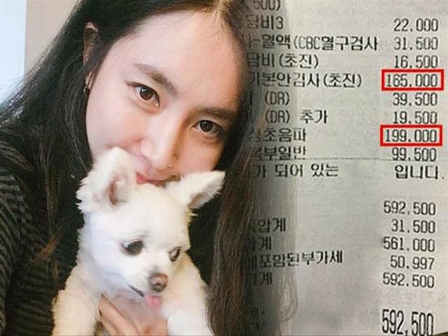 '터무니없어 못 하겠다' 병원비 때문에 치료 포기한 주인이 받은 명세서