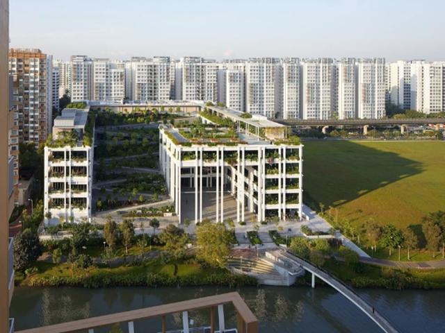 OASIS TERRACES