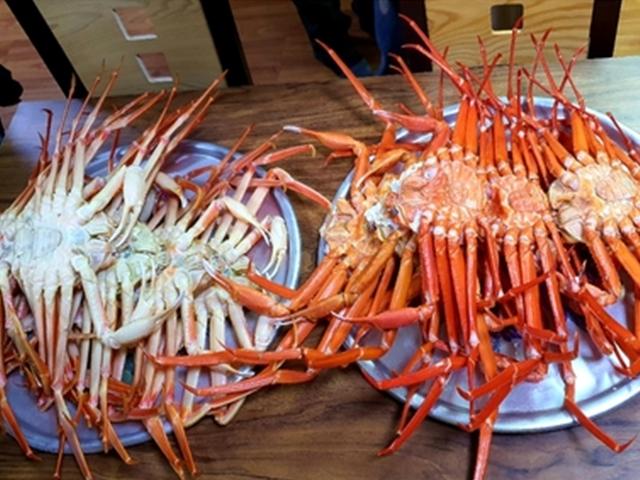 겨울식객 유혹하는 <strong>울진 대게</strong> 맛보셨나요