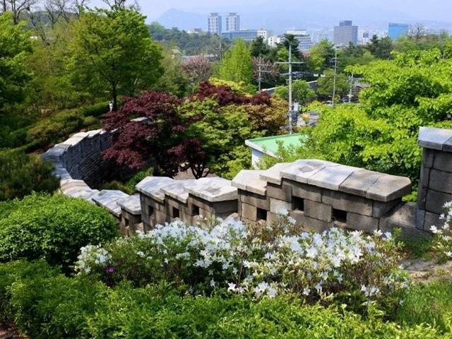 한강도 바라보고 숲길도 걷고-한강전망대 역사트레킹