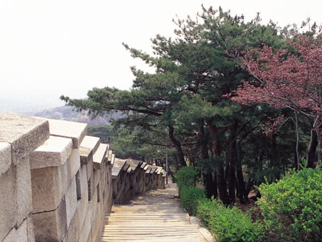 '확 찐자' '코로나 비만' 탈출...한양도성<strong>길</strong> 걷기