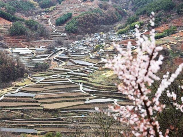 꽃은 내년에도 피어나리니…마주 보며 위로하는 지리산 마을