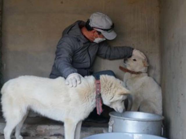 <strong>고성</strong> 산불 1년, 살아남은 동물들