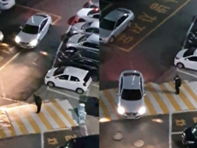 "거수경례 안 하면 큰일"··· 아파트 입주자대표 황제 의전 논란