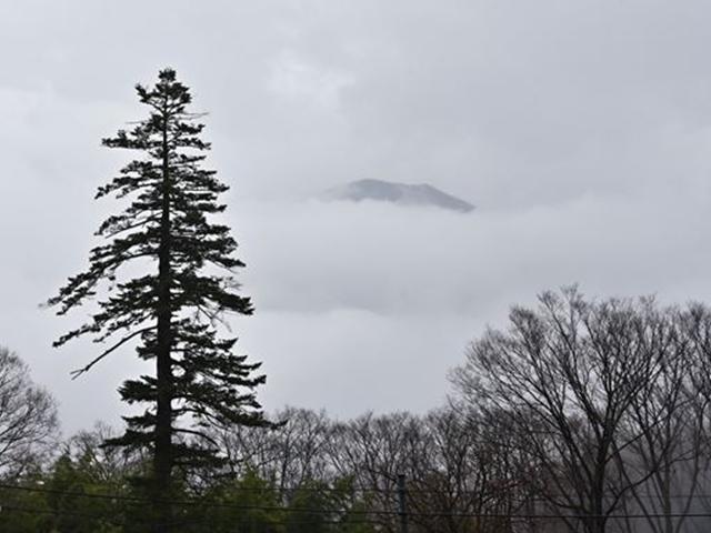 500년 전나무 뒤로 지리산 능선이…4색 전망 산골 <strong>사찰</strong>
