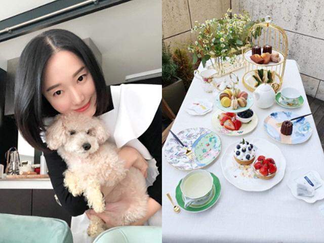 "집 테라스에서 애프터눈티"..이정현, '사회적 거리두기'도 품격 있게