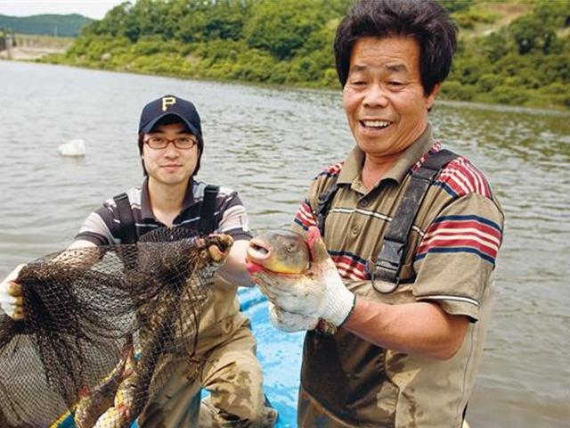 얇디얇게 쫄깃쫄깃… 1년에 딱 한 달 임진나루 황복회의 호사