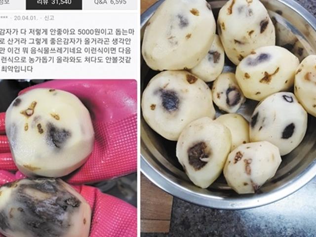 썩어버린 감자의 도착… ‘착한 소비’ 환불 요구하면 내가 나쁜걸까?