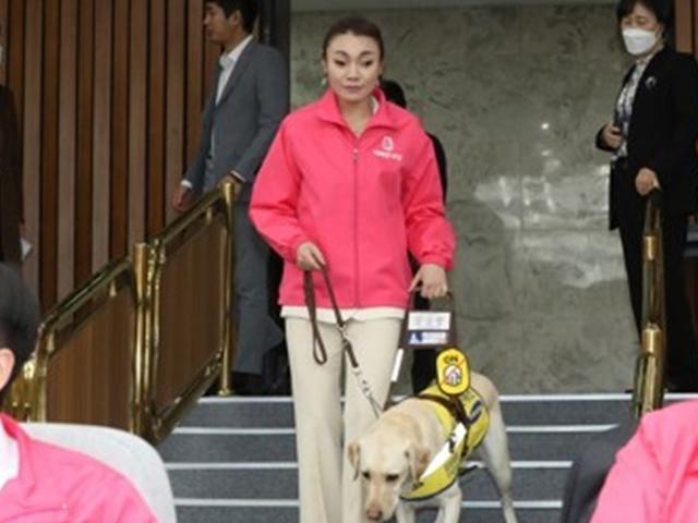 시각장애인 김예지 당선에…국회, '안내견 <strong>조이</strong>' 출입 고심