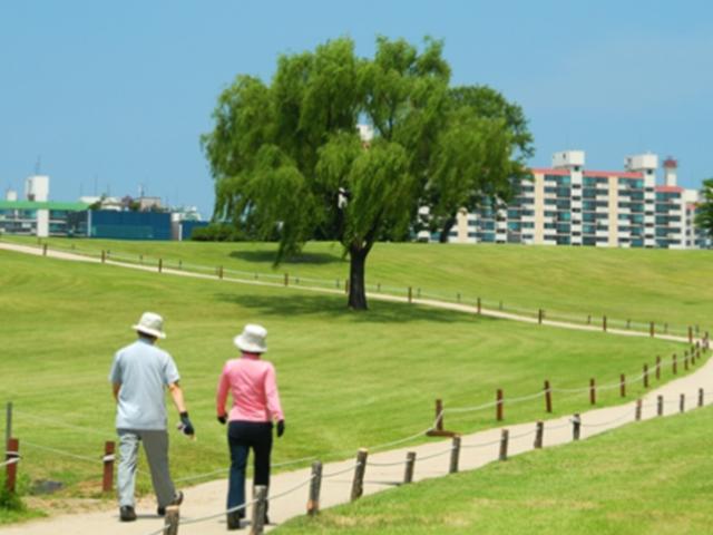 <strong>점심</strong> 후 짧은 산책으로 비타민D 충전 끝?