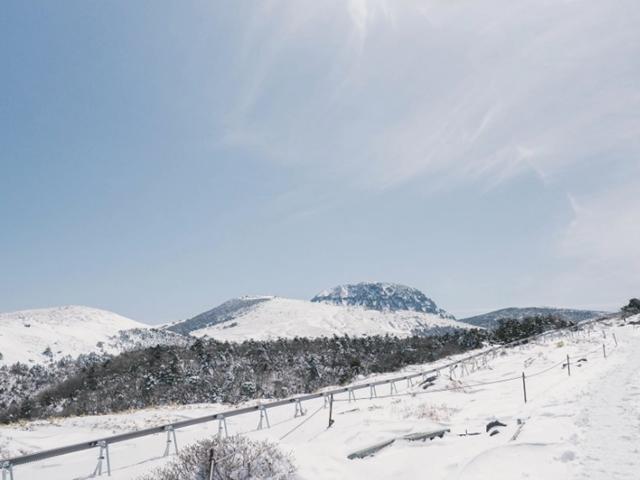 <strong>한라산</strong> 등산 어리목, 윗세오름, 영실코스/등산초보 후기