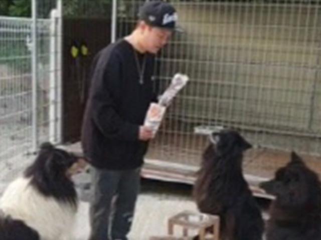 '<strong>반려견</strong> 사고' 피해자 딸 "견주 김민교, 방관 NO…최선 다했다"