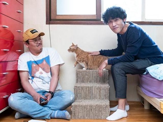 다큐 만든 '고양이 집사'들 "이 작은 생명체와도 공존 못 한다면"