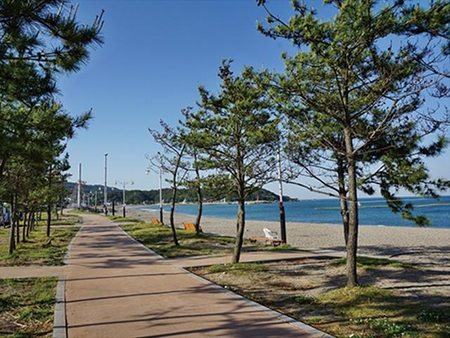 요즘 캠핑 대세 ‘차박’ 차만 세우면 이곳이 숙소!