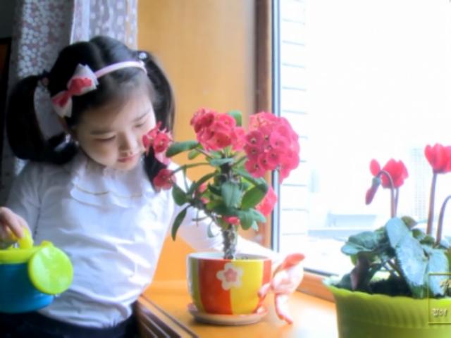 "우리는 꽃나비" 북한판 <strong>브이로그</strong>·먹방, 어떻게 생각하십니까