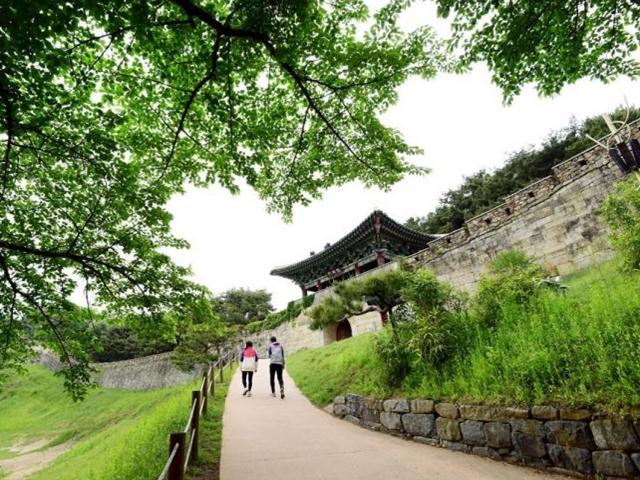 [조용준의 <strong>여행</strong>만리]성곽길 걷고…대청호반 내려보고~<strong>초여름</strong> 청주
