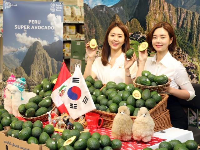 <strong>페루</strong> 아보카도, 이마트 통해 국내 소비자에게 첫 선