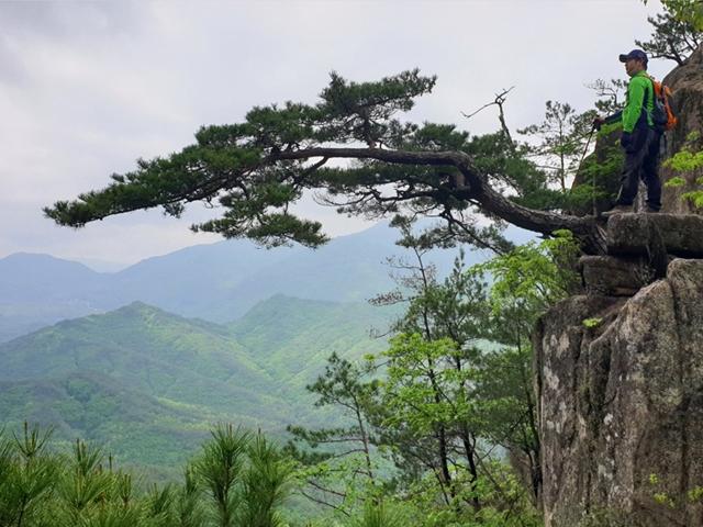 나, 나름대로의 길(道)로 산행을 즐(樂)기다 '도락산(道樂山)'