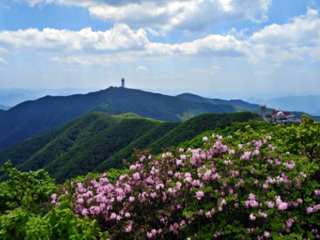초록 숲과 연분홍 철쭉이 만드는 선계의 몽유도원도 '<strong>소백산</strong>'