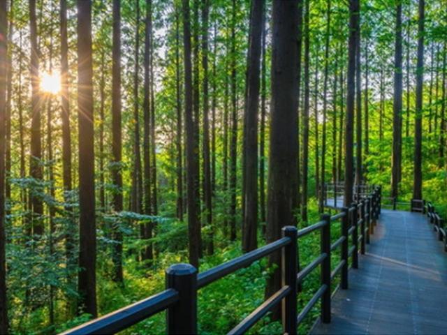 운동화 신고 털레털레… 서울 속 동네 뒷산, 이렇게 좋았나?