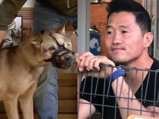 1년에 이 정도가 비싼가요? 화제된 개통령 강형욱의 1년 강습료 수준