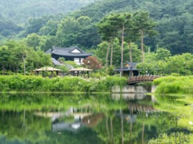 <strong>풍수지리</strong> 몰라도 감탄 연발···3대가 지킨 ‘혼불’ 속 명당