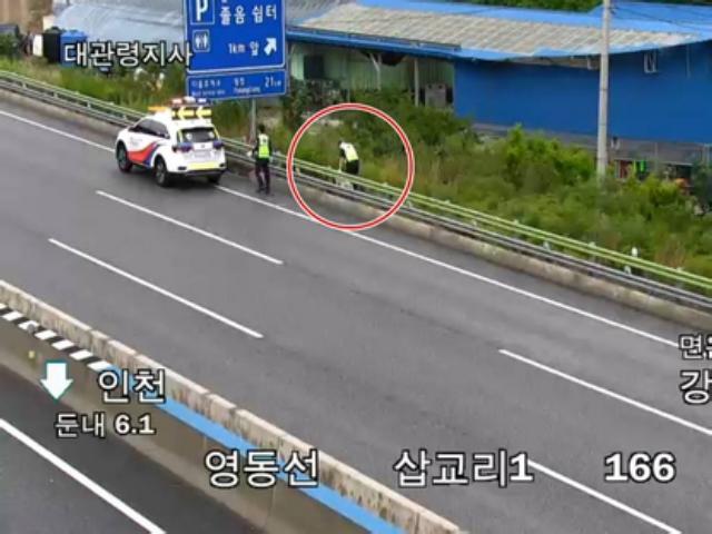 "<strong>대형견</strong> 니가 왜 거기서 나와"…영동고속도로서 포획 중 폐사(종합)