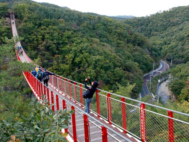 놀이기구 보다 더 ‘오싹’… 스릴 만끽하는 출렁다리 명소