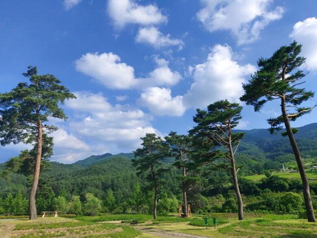 [ESC] 봉화, 공기만 신선한 줄 알았더니