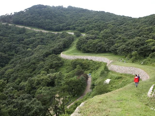 ‘사과의 고장’ 예산서 찾은 비밀의 숲