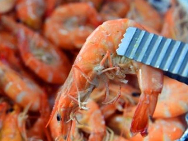 쫄깃하게 달콤하게… 가을 식탁 책임지‘새우’