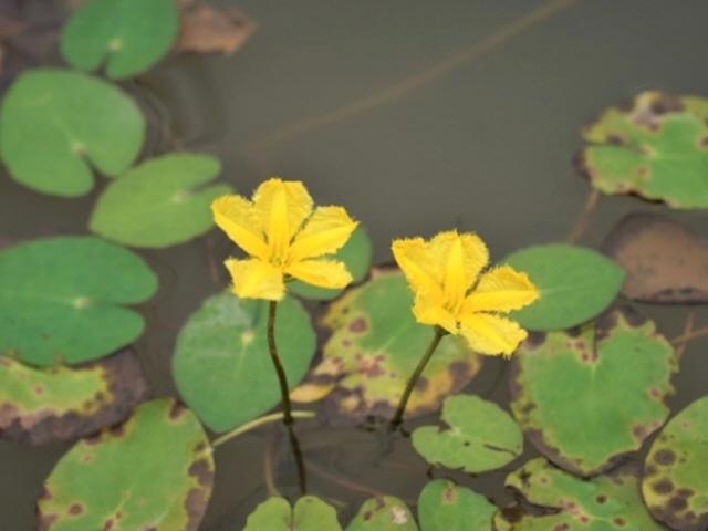 [고창에서 석 달 살기] 고창의 산과 들에서 만날 사람들